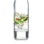 Przezroczysta butelka z wodą i zielonymi roślinami wewnątrz, nowoczesny i ekologiczny design.