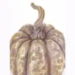 Dyniowa dekoracja zimowa na halloween i boże narodzenie.