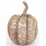 Brązowa dynia dekoracyjna z złoceniem na białym tle, idealna do ozdoby domu, jesiennej aranżacji i centrum dekoracji na Halloween, rustykalny akcent w stylu domowy zakątek November.
