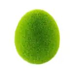 5b314894ea24765c4c92aaff4021908c